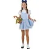 DISFRAZ DOROTHY INFANTIL