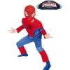 DISFRAZ SPIDERMAN MUSCULOSO INFANTIL 2 DISFRAZ SPIDERMAN MUSCULOSO INFANTIL -Magasin Comarfi disfraz spiderman musculoso infantil original