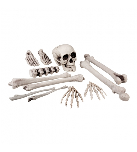 SET HUESOS 12 PIEZAS 3 SET HUESOS 12 PIEZAS